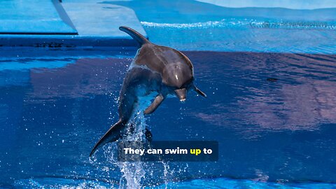 “Amazing Whales in 30 Seconds! 🐋✨”