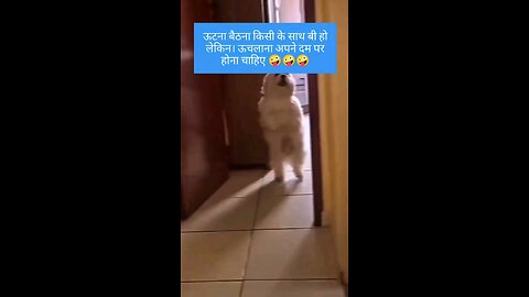 मस्ती कर लु