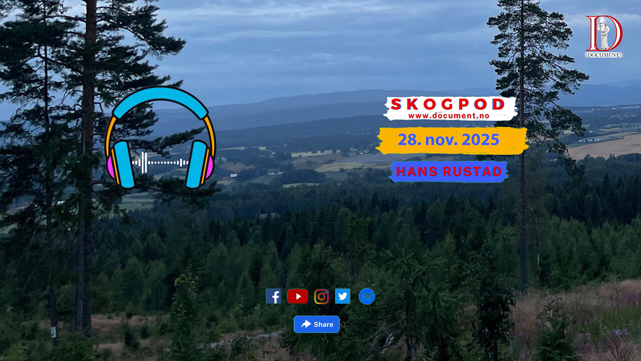Skogpod 28. november 2025
