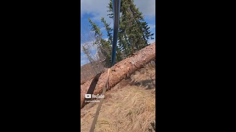 Saw Cam #Upinalaska #Wood #Saw #Sawcam #Alaska #Outdoors #Camping #Survival #Nature #fyp #ASMR
