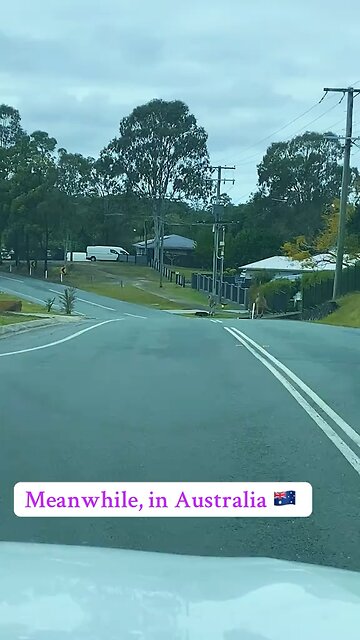 Kangaroo hopping on the road