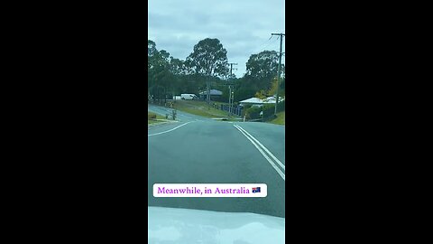 Kangaroo hopping on the road