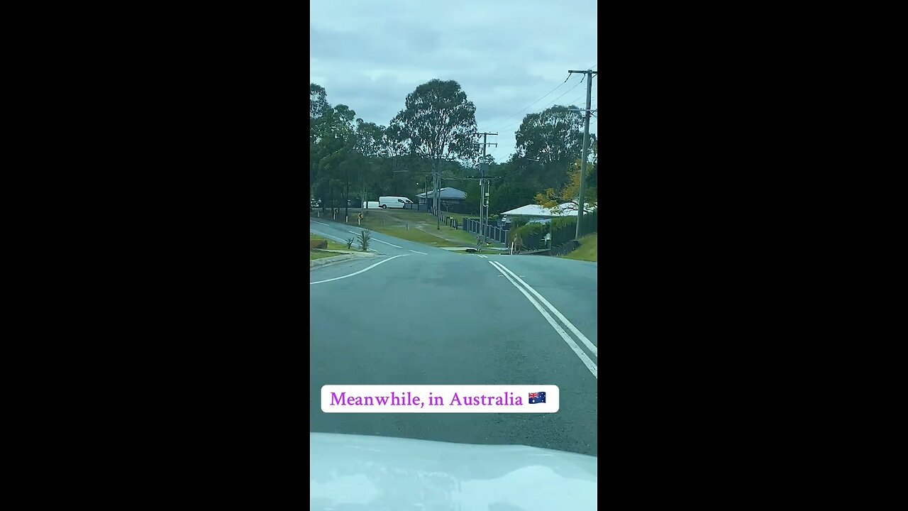 Kangaroo hopping on the road