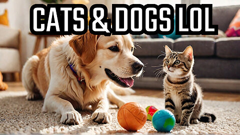 "Funny Dogs and Cats: Laughs Guaranteed! 😂🐶🐱 | Ultimate Compilation"