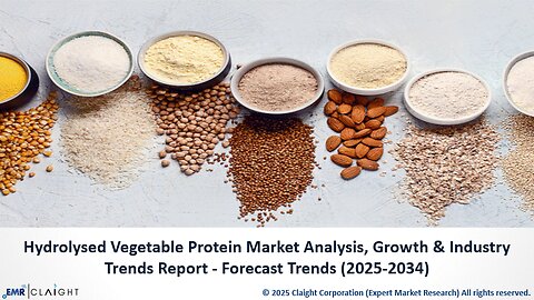 Hydrolysed Vegetable Protein Market Share, Size & Growth by 2034