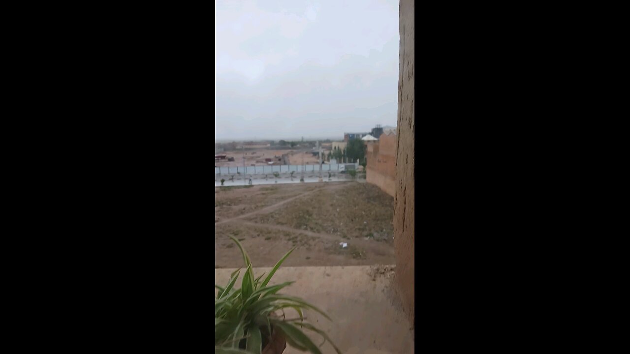 rain