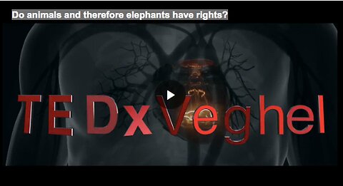 Do animals and therefore elephants have rights_