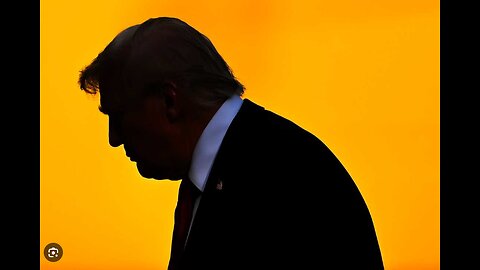 MAGA Revolts Against Trump Admin Official Who Gave Prez ‘Moronic’ Idea.mp4