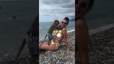 The animals compilation #funnyanimals #animals #pets #shorts