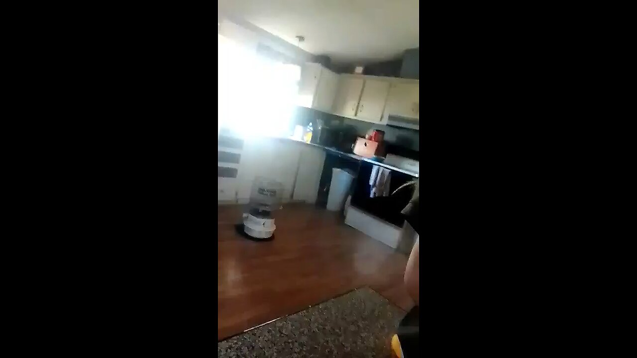 lol