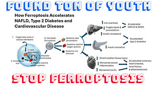 #CellMechanisms to Stop #Ferroptosis #insulinresistance with #C15FattyAcid #drstephanievennwatson