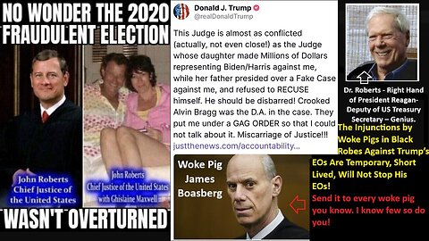 The Injunctions by Woke Pigs in Black Robes Against Trump’s EOs Are Temporary, Short Lived, Will Not Stop His EOs! Explained by Dr Roberts! Send it to every woke pig you know. I know few so do you!