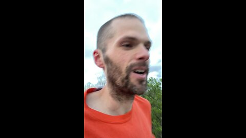 Day 431: looking out for the skunk and fox