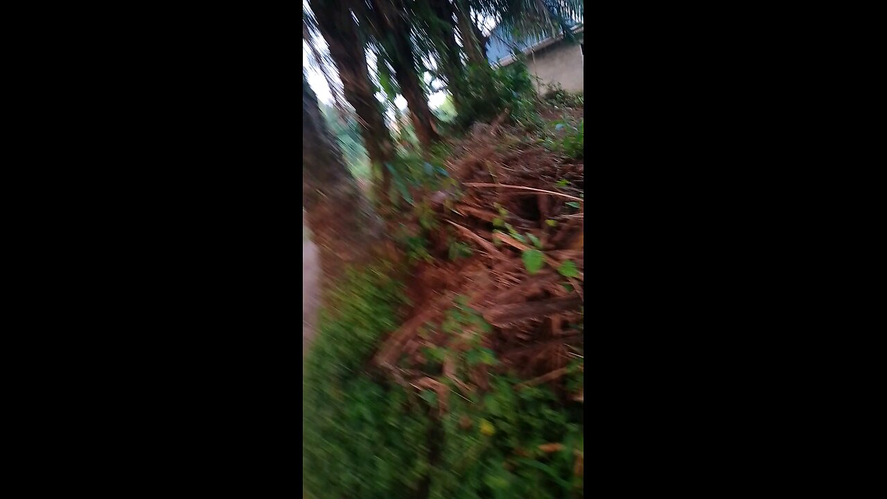 morning in Nigeria