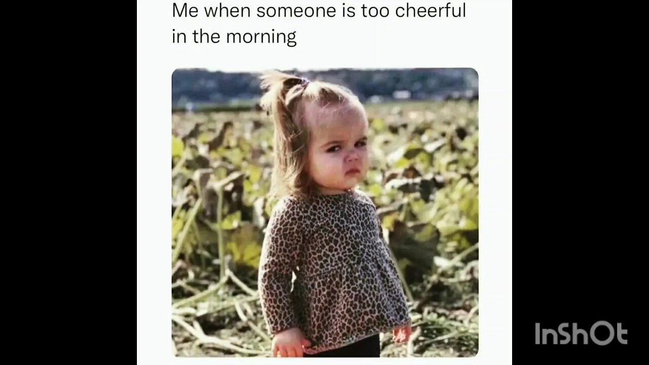 Me when someone is too cheerful in the morning