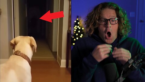 19 TERRIFYING TikTok Videos That Will Ruin Your Sleep