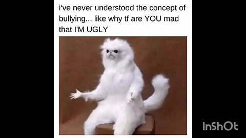 i've never understood the concept of bullying... like why tf are YOU mad that I'M UGLY