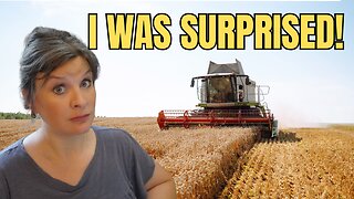Is Modern Dwarf Wheat Bad? - My Research Surprised Me!