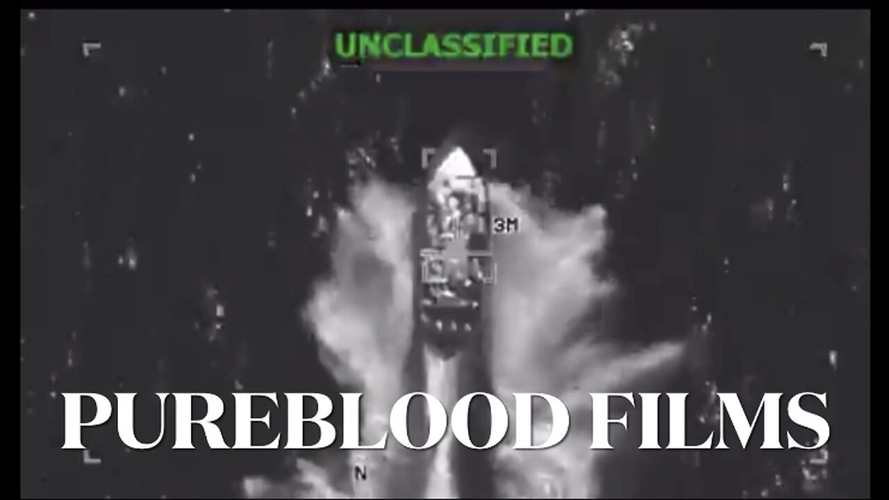 SMUGGLER’S BLUES - PUREBLOOD FILMS