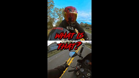 What is THAT!?