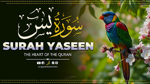 Surah Yaseen | A Journey Through the Heart of the Quran | Al Qamar Production