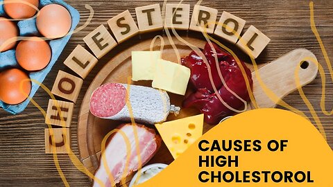 Causes of High Cholesterol_ Understanding What’s Behind Elevated Levels