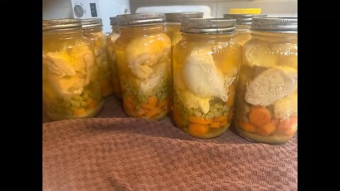 Chicken Noodle Soup Starter