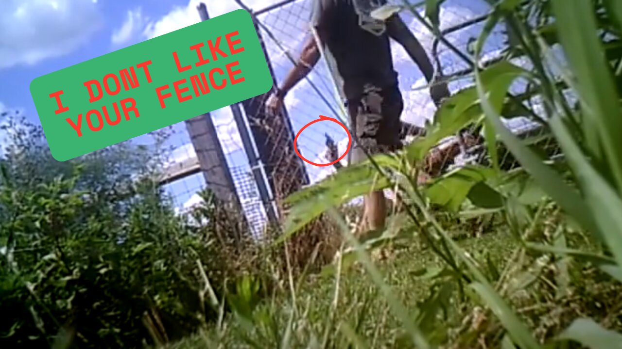 Man Shot over fence dispute