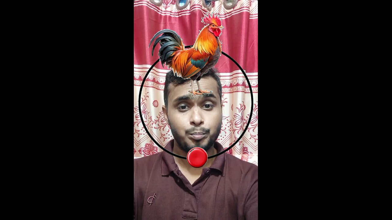 মোরগের মাথাটি জোড়া লাগান ৩৯ #reels #puzzle #challenge #viral #tending #Amazing #foryou