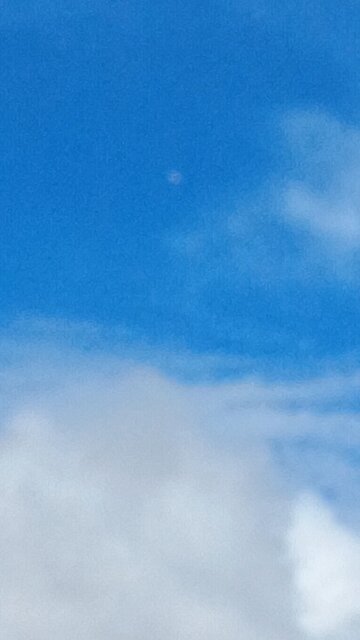 drac demonrats doing psywar on human Americans