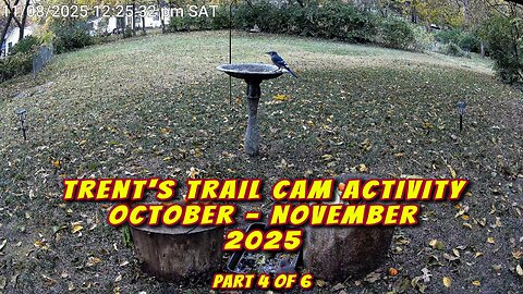 Trent's Trail Cam Activity - October & November 2025 - Part 4 Of 6