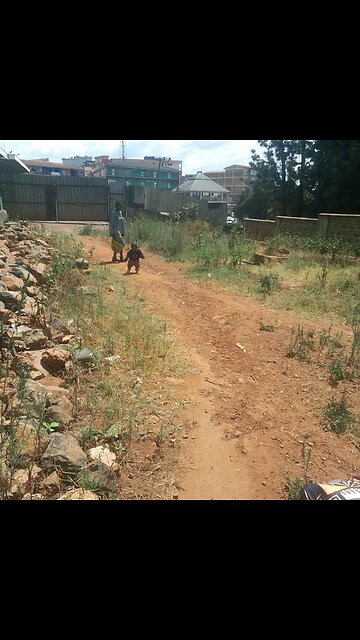 timm stotts ape staggering 1st steps in this world