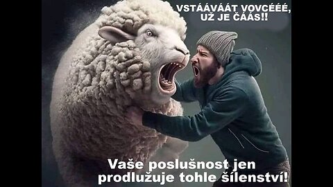 Jsi ovce a otrok systému ?