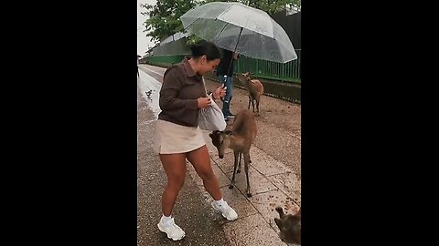 How cute