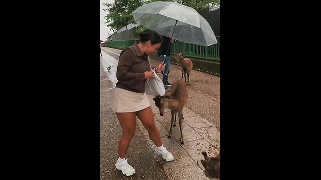 How cute