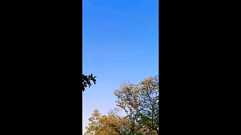 🤣पैसे नहीं हे 🤣 #shorts #ytshorts #funny
