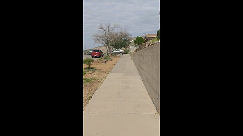 Daily Walk