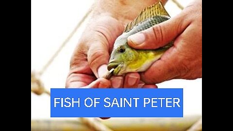 SIGNIFICANCE OF THE COIN IN THE FISH OF SAINT PETER Matthew 17:23-26 #truth #jesus #mary #joseph#ihs