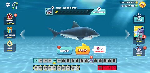 Hungry shark opulence