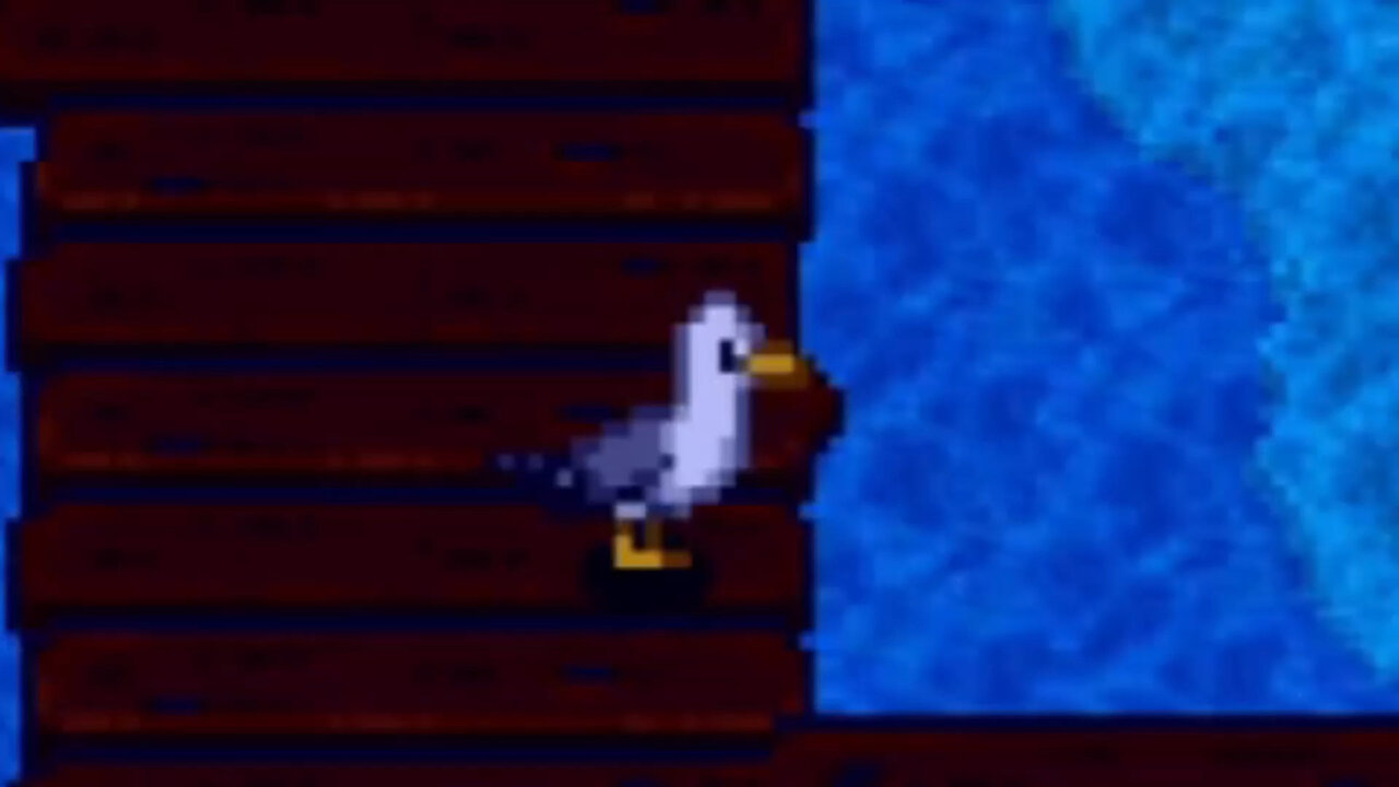 Seagull Dance 🪩