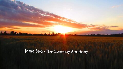 Jamie Sea - The Currency Academy(CoursesLibrary.com)