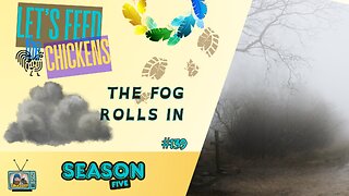The Fog Rolls in | Let's Feed the Chickens | E139