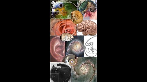 The Hebrew Matrix: Gematria, Torah Code, and the Golden Ratio in the Garden of Eden