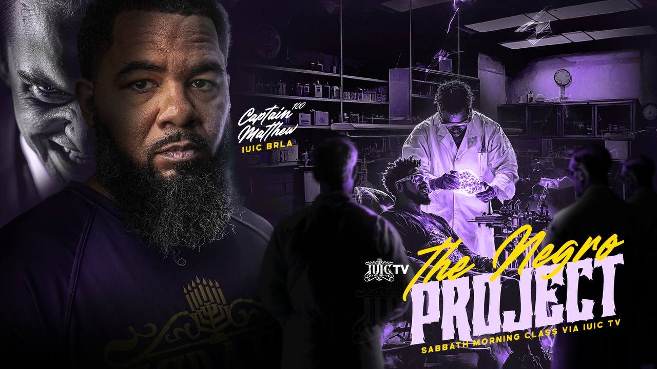 THE NEGRO PROJECT