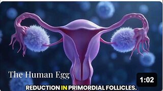 "We're just running humanity's fertility off a cliff."