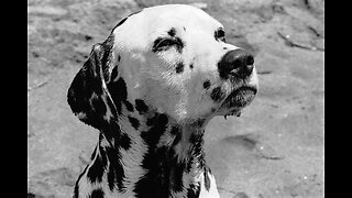 What I Got - (Soul Cover)