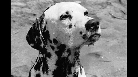 What I Got - (Soul Cover)