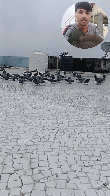 jivdaya mehsana YouTube short video