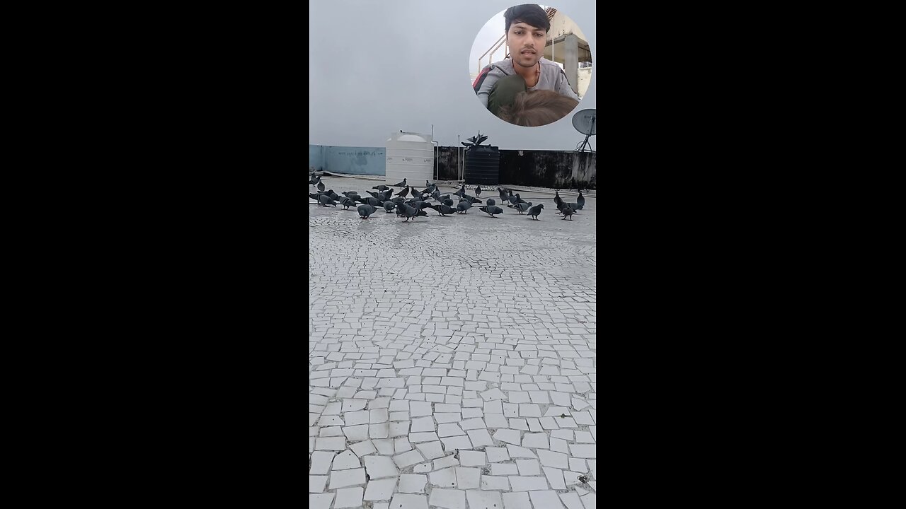 jivdaya mehsana YouTube short video