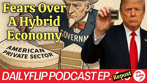Businesses Fear Government Ownership - DailyFlip Podcast Repost - 10/17/25